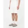 Dickies Pantalones cortos Mapleton