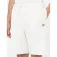 Dickies Mapleton shorts
