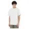 Dickies Summerdale short sleeve T-shirt