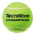 Tecnifibre Champion 3 Des Balles Tube Tennis Des Balles Boîte