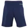 Tecnifibre Team shorts