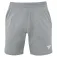 Tecnifibre Short Team