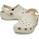 Crocs Classic 木屐