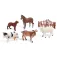 Molto Animals de granja