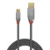 Lindy Cable USB-A a Mini USB-B USB 2.0 5 m