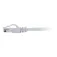 C2g CAT6 network cable 50 cm