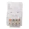 C2g CAT6 network cable 50 cm