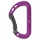 Petzl Spirit snap hook