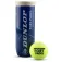 Dunlop Fort Padelballbox
