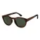 Roxy Vertex Plz sunglasses