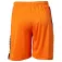 Select Short Player