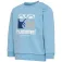 Hummel Lime collegegenser
