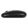 Targus AMB581GL wireless mouse