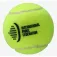 Bullpadel Next Pro 파델 볼