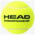 Head Championship 4-Ball Dürfen