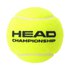 Head Scatola Palline Tennis Championship