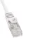 Phasak Câble réseau CAT6 UTP 2 m