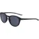 Nike Ulleres de sol Evolution Dz7360