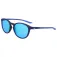 Nike Ulleres de sol Evolution M Dz7362