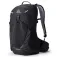 Gregory Miko 25L backpack
