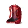 Gregory Miko 25L rucksack