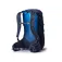 Gregory Miko 30L backpack