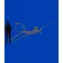 Kruskis Sudadera con capucha Shadow Spearfish Two-Colour