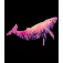 Kruskis Moletom com capuz Whale Two-Colour