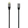 Aisens Cable Extensió USB-C 1 m