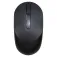 Dell MS300 wireless mouse