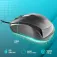 NGS Easydelta mouse