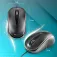 NGS Easydelta mouse