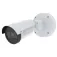 Axis P1465-LE security camera