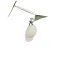 Marmot Limestone 6 telt