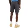 Protest Navagio shorts