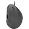 Speedlink Ratolí ergonòmic PIAVO