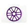 Fouriers Pignone Shimano