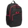 Oakley Enduro 4.0 backpack 25L