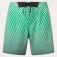 Oakley Tempestas Sum simshorts