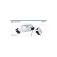 Playstation Ulleres VR2