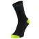 Endless SOX 短靴下