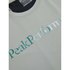Peak performance Alum Light T-shirt met korte mouwen