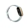 Fitbit Montres connectée Sense 2