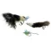 Evia Piscis 飞