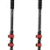 Altus Bastons Acebo H30