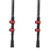 Altus Acebo H30 poles
