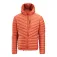 Altus Denali down jacket