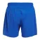 Altus Route shorts