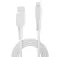 Lindy Câble Lightning 1 m