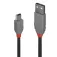 Lindy USB-A til Mini-USB-adapter 2 m